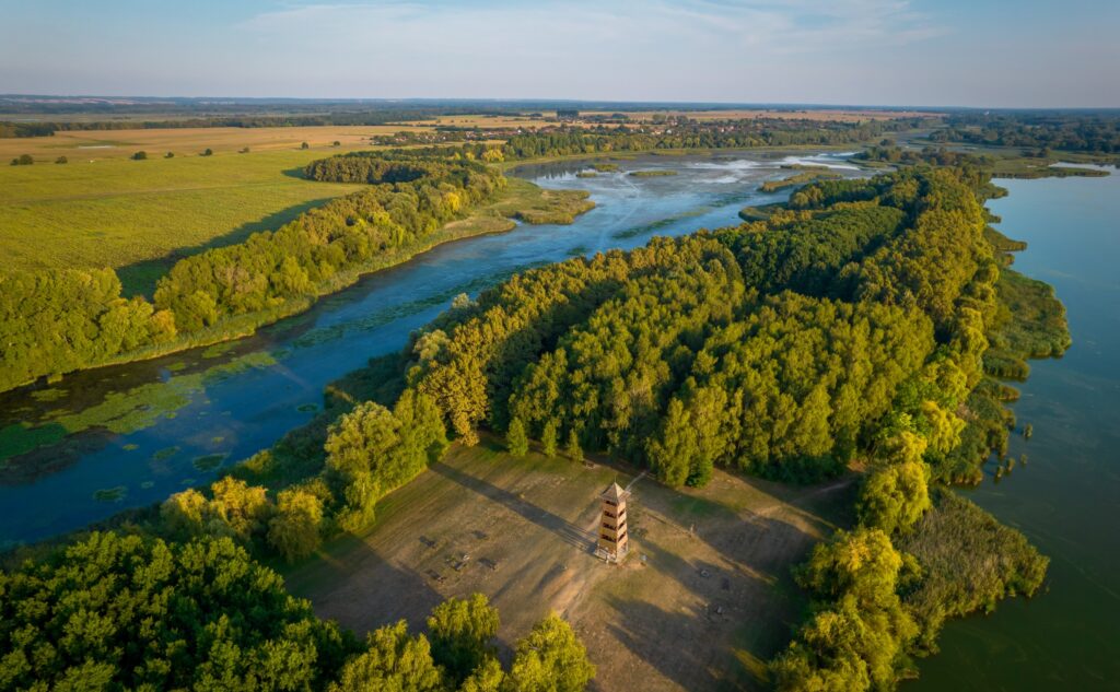 búbos-vöcsök tanösvény, Kányavári-sziget, kilátó balaton