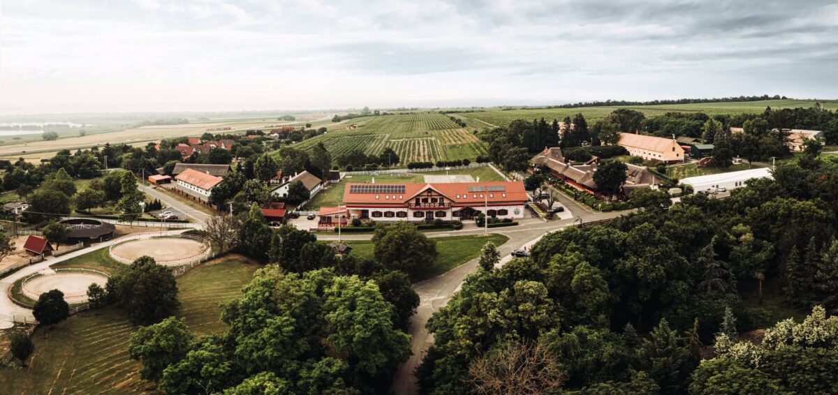 Rádpuszta-Gasztro Élménybirtok augusztus 20 a Balatonnál