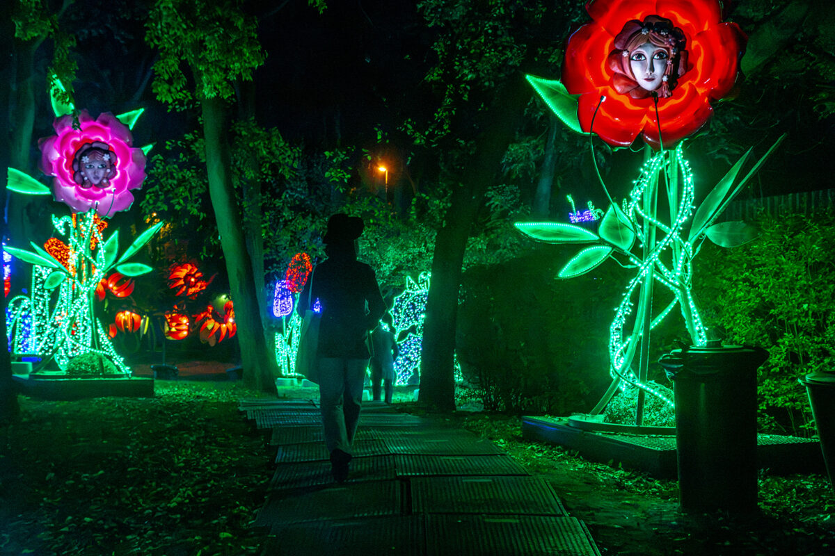 Lumina Park