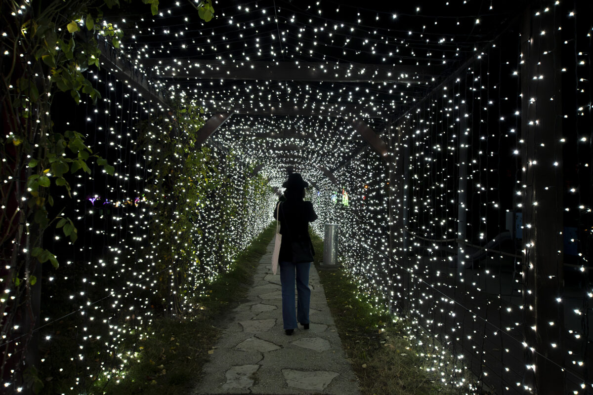 Lumina Park