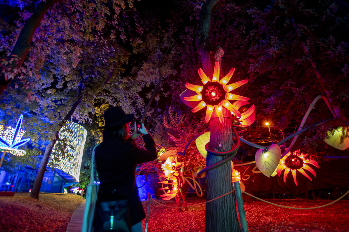Lumina Park