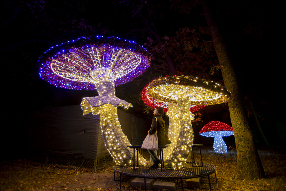 Lumina Park