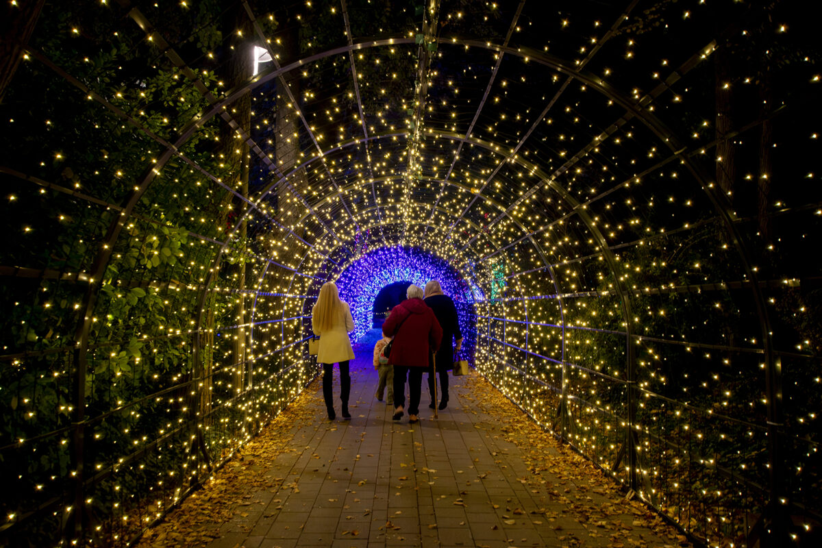 Garden of Lights 2026 A Szépség és a Szörnyeteg fénypark fénykiállítás Budapesten