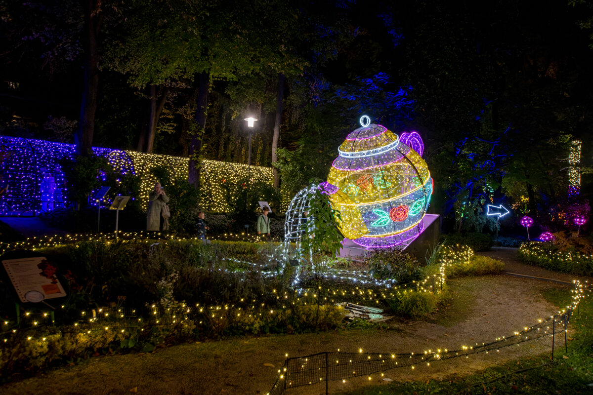 Garden of Lights 2026 A Szépség és a Szörnyeteg fénypark fénykiállítás Budapesten