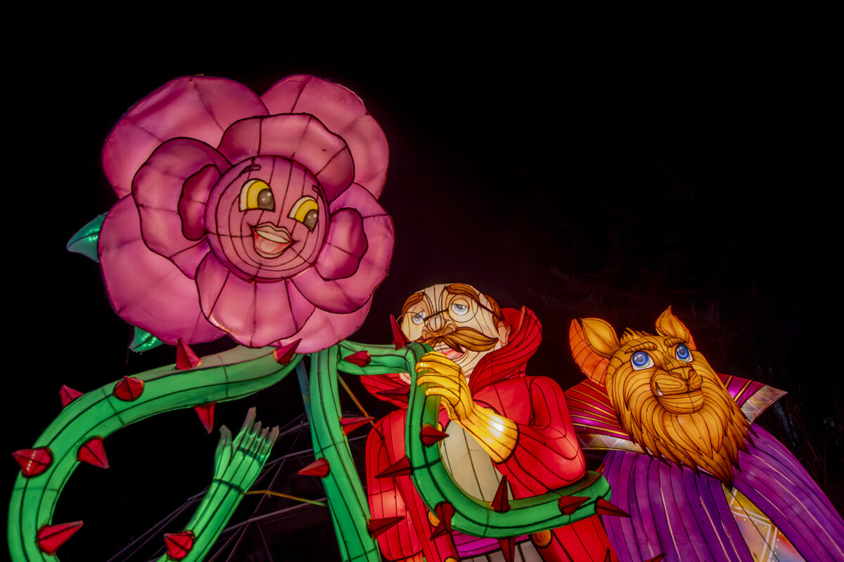 Garden of Lights 2026 A Szépség és a Szörnyeteg fénypark fénykiállítás Budapesten