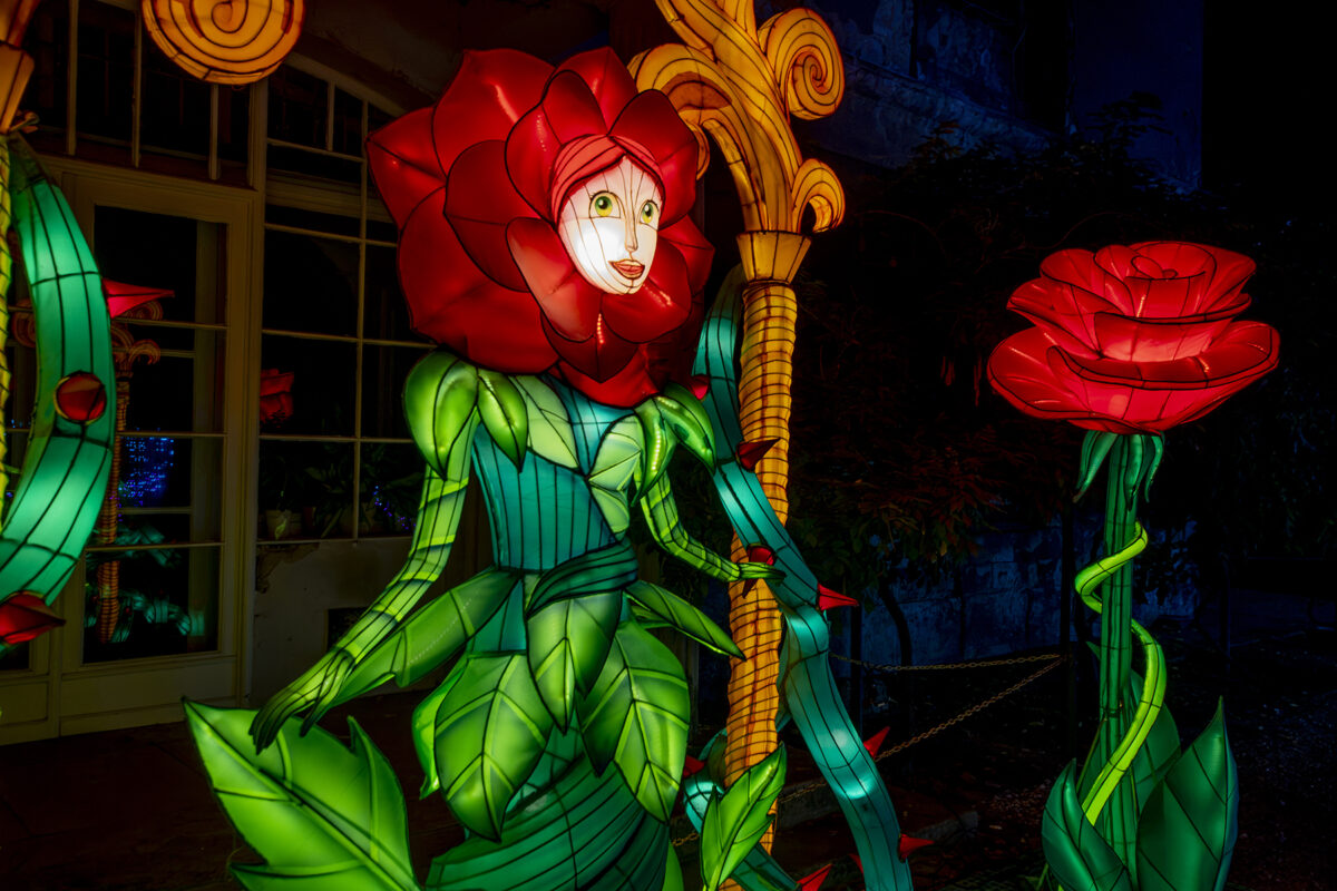 Garden of Lights 2026 A Szépség és a Szörnyeteg fénypark fénykiállítás Budapesten