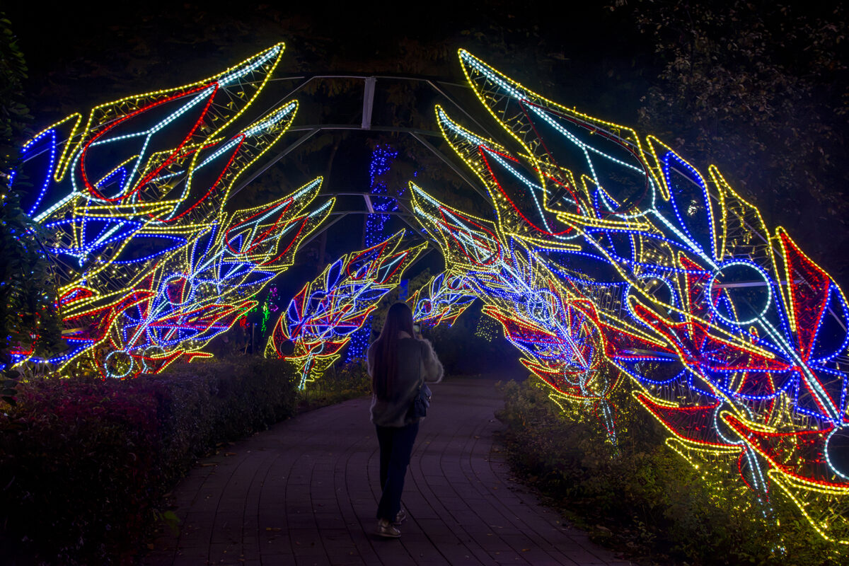 Garden of Lights 2026 A Szépség és a Szörnyeteg fénypark fénykiállítás Budapesten