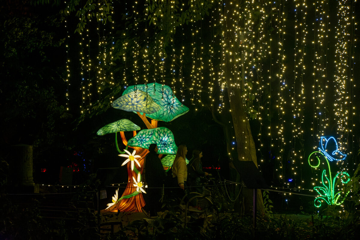 Garden of Lights 2026 A Szépség és a Szörnyeteg fénypark fénykiállítás Budapesten
