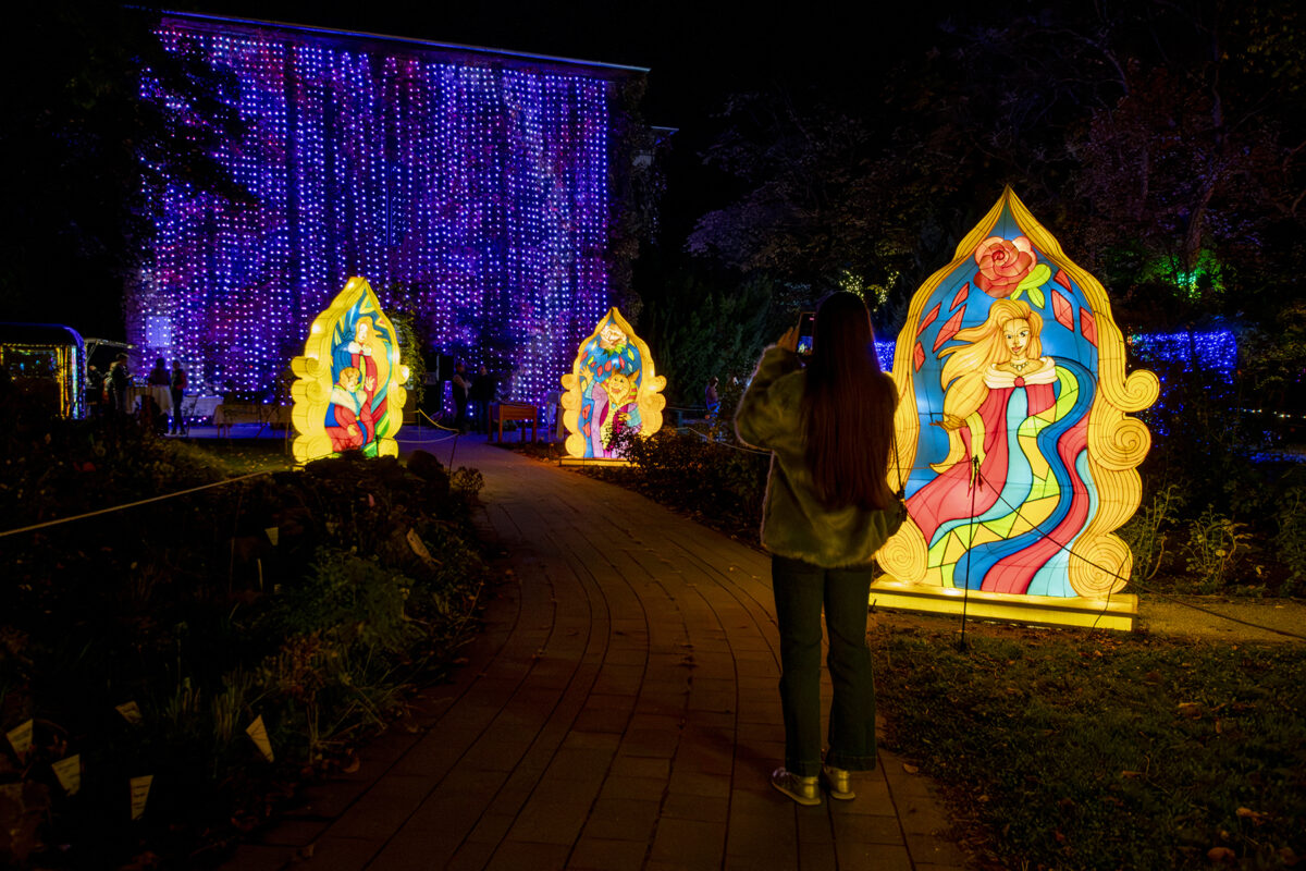 Garden of Lights 2026 A Szépség és a Szörnyeteg fénypark fénykiállítás Budapesten