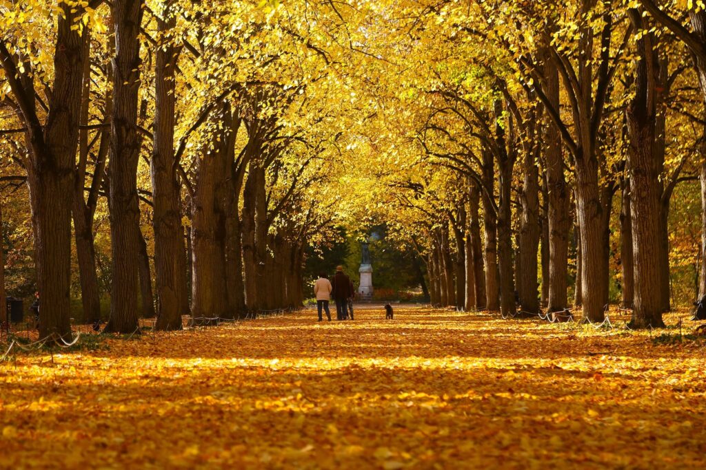 Gödöllő, Erzsébet-park