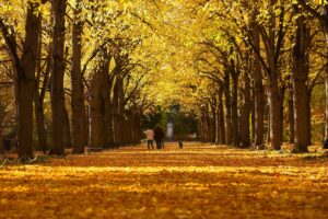 Gödöllő, Erzsébet-park