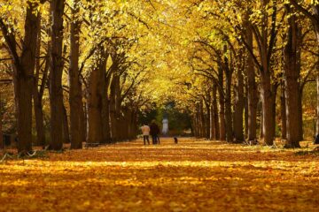 Gödöllő, Erzsébet-park