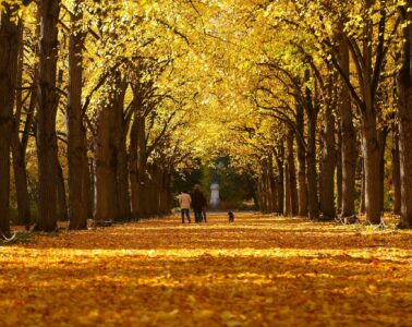 Gödöllő, Erzsébet-park