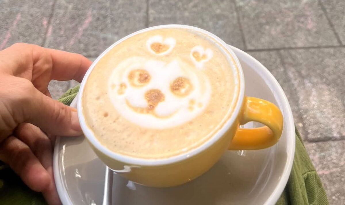 Kornél pumpkin spice latte Budapesten