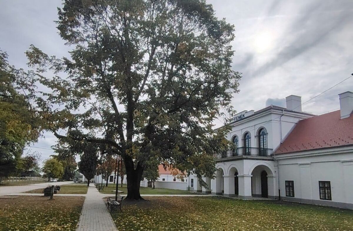 halloween programok 2026 balaton - Fenékpusztai Majorság