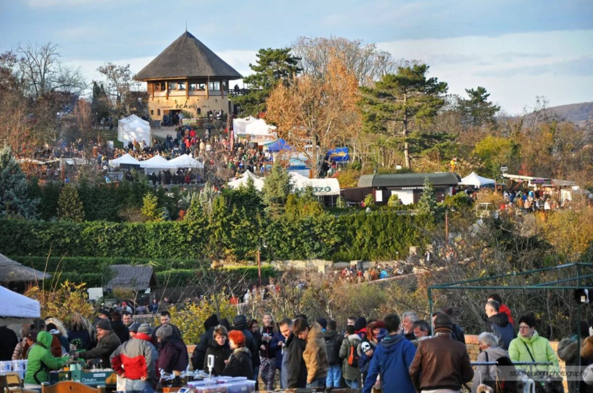 programok balaton november 2026