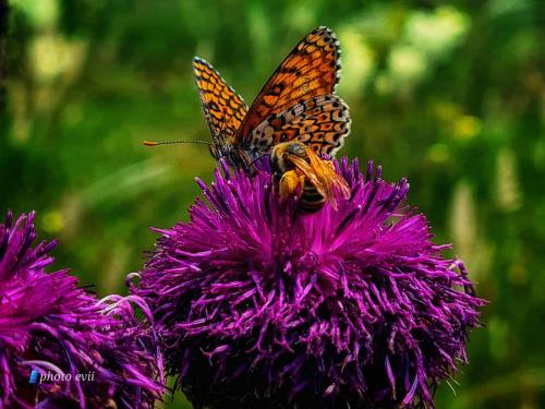 351337240 271675815357967 304575710953172060 n