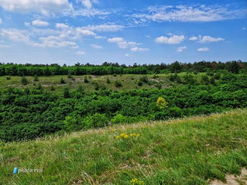 351350157 3131313250502364 5818308028277060581 n