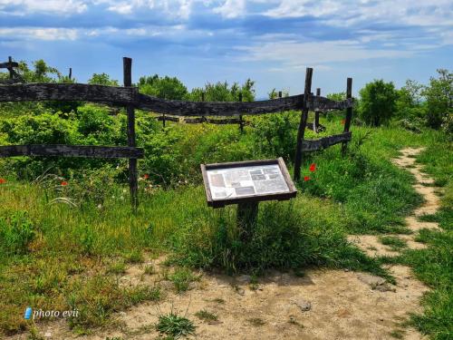 352351330 204273825893211 496947573303940061 n