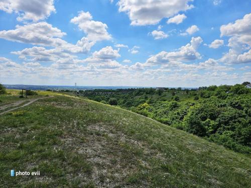 444151286 2501976853323882 6132926509471507741 n